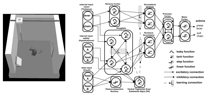 LOCEN image devaluation rat and net